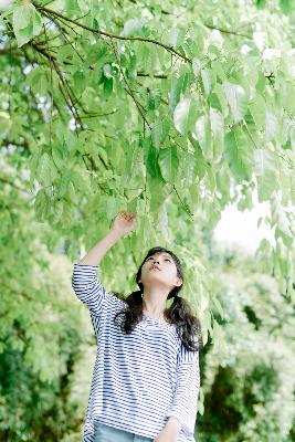 丁香花电影高清在线小说阅读