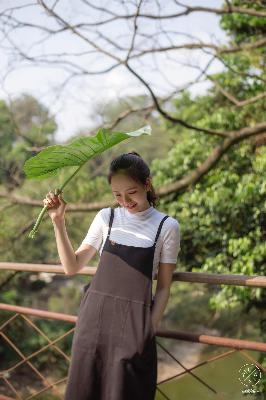 《卖房子的女人》,房产销售的秘密2 免费看