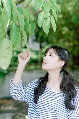 风流女管家